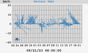 Wind Vector